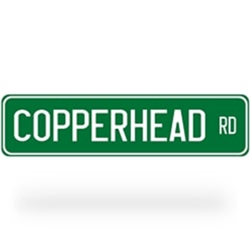 Double-Sided Copperhead Road Street Sign