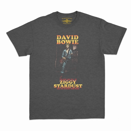 David Bowie Ziggy Stardust & the Spiders from Mars Ringer Tee