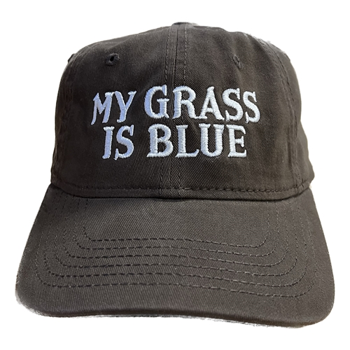 My Grass Is Blue Unstructured Hat - Brown