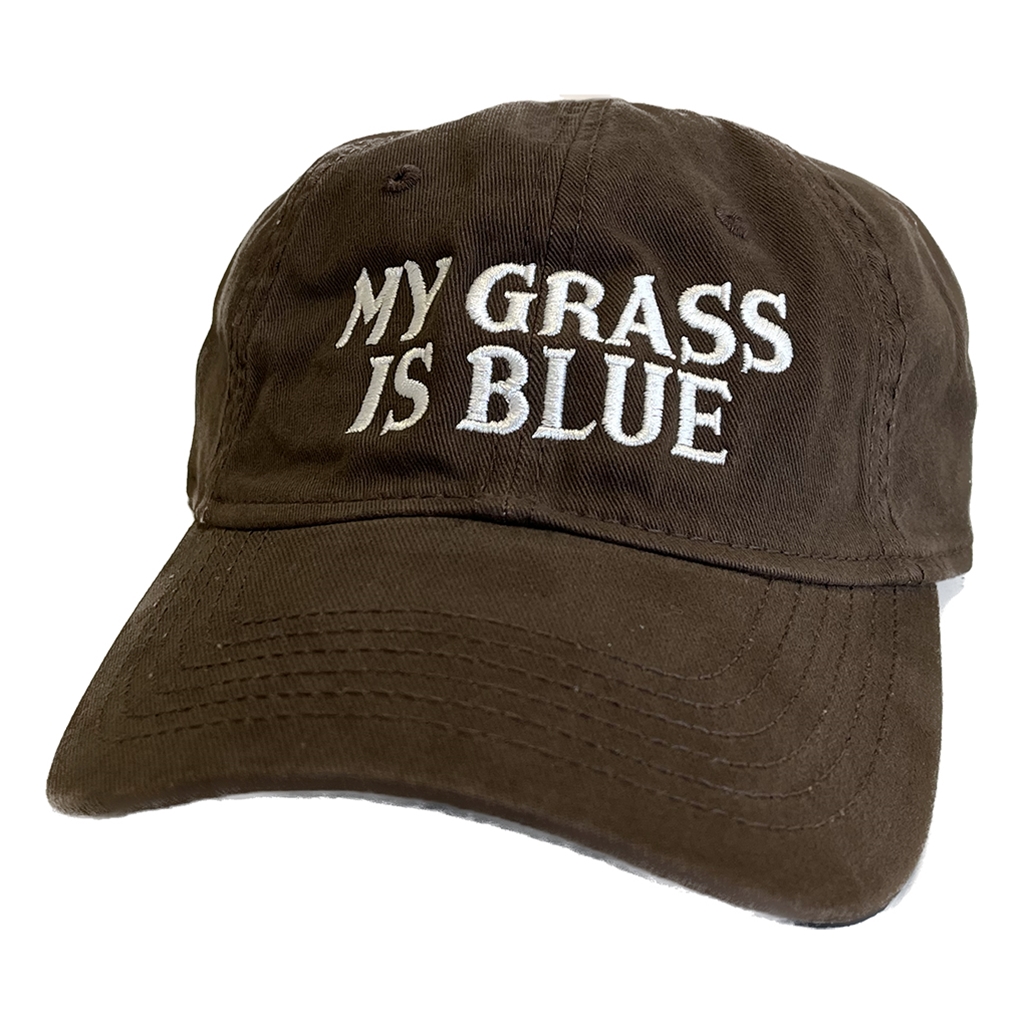 My Grass Is Blue Unstructured Hat - Brown