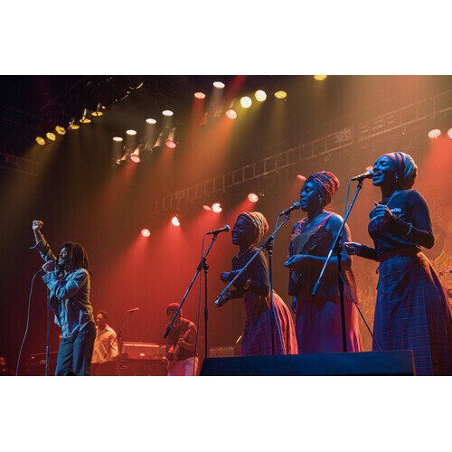 Bob Marley: One Love DVD