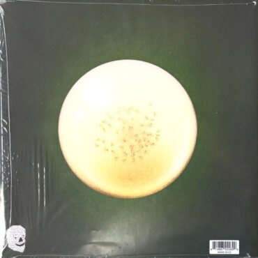 Thee Oh Sees-1