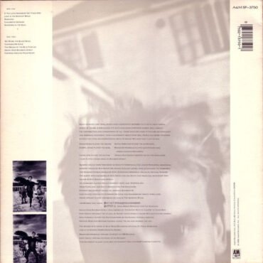 Sting-1