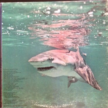 Jimmy Buffett-1