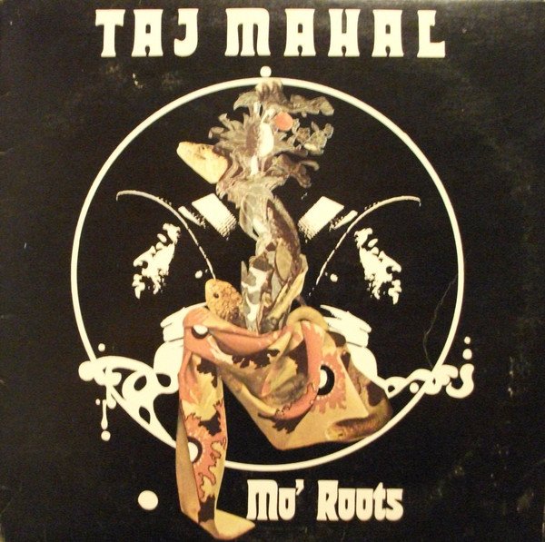 Taj Mahal-0