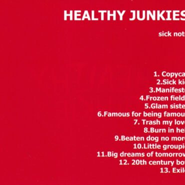 Healthy Junkies-1