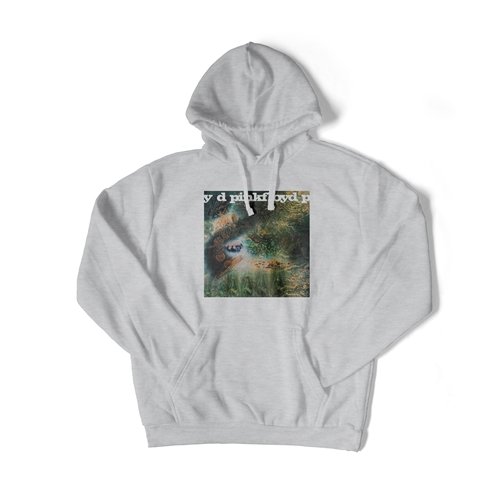 Hoodie Haul Ash