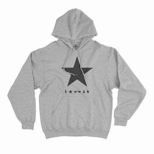Hoodie Haul Ash